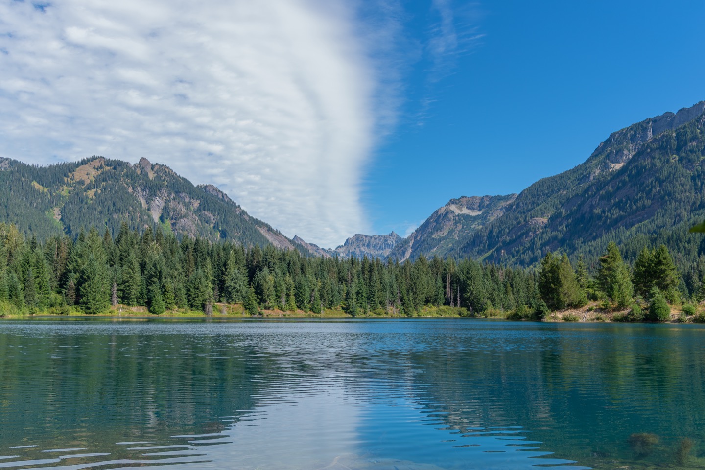 After post-processing — noise reduction applied