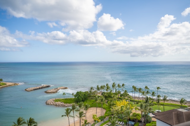 Tropical coastline with blue ocean, sandy beach and palm trees