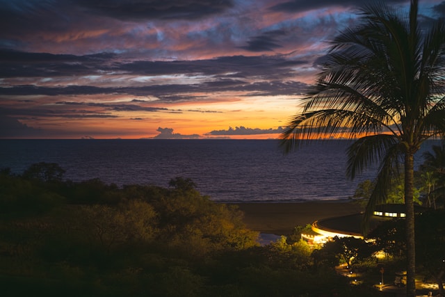 Tropical sunset over the ocean with palm trees